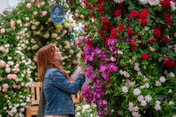 members of the public admire the flower installations at rhs chelsea flower show on may 19, 2025