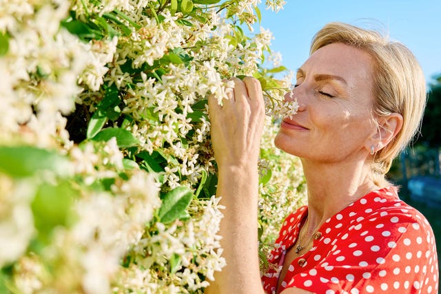 blond woman wearing red polka dot dress inhaling blooming jasmine bush.