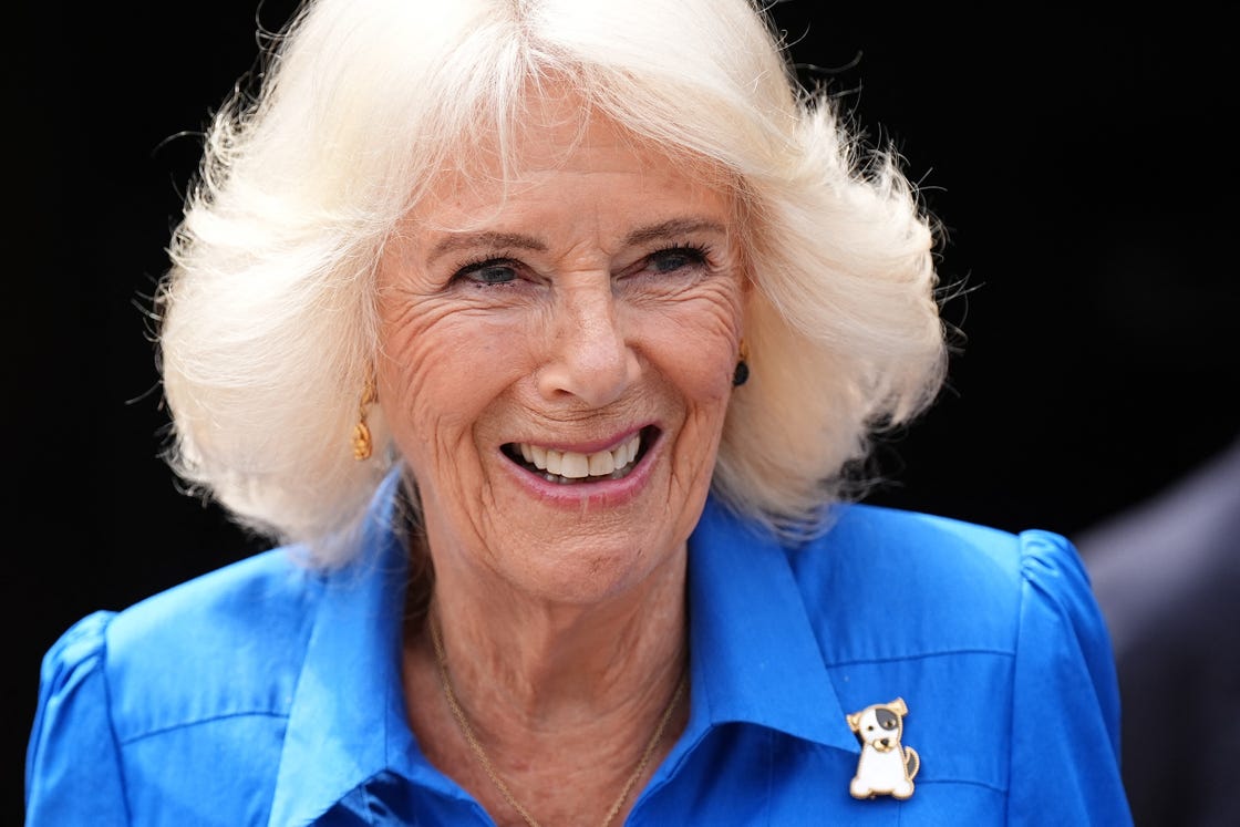 britain's queen camilla smiles during a visit to unveil the royal horticultural society (rhs) and bbc radio 2 'dog garden' at the battersea dogs and cats home in south london on july 14, 2025. (photo by aaron chown / pool / afp)