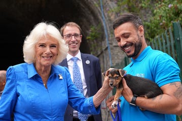 britain's queen camilla meets dipsy the dog during a visit to unveil the royal horticultural society (rhs) and bbc radio 2 'dog garden' at the battersea dogs and cats home in south london on july 14, 2025. (photo by aaron chown / pool / afp)