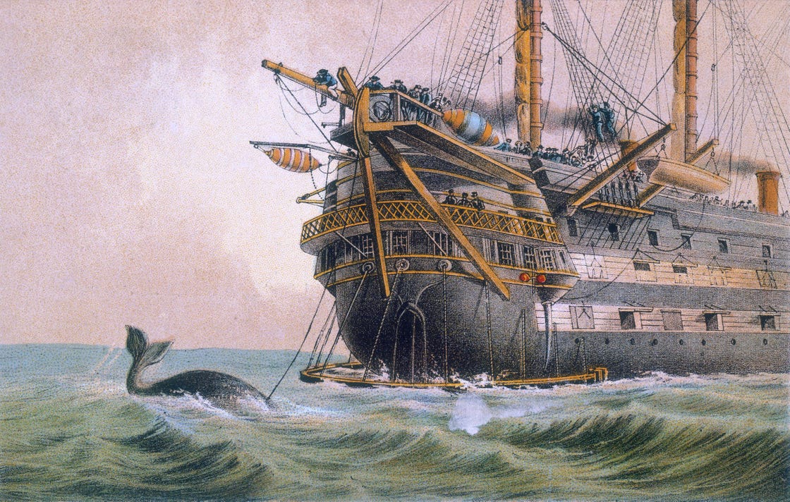 een walvis zwemt over de onderzeese kabel die het schip agamemnon in 1858 legt om europa en amerika te verbinden