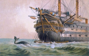 een walvis zwemt over de onderzeese kabel die het schip agamemnon in 1858 legt om europa en amerika te verbinden