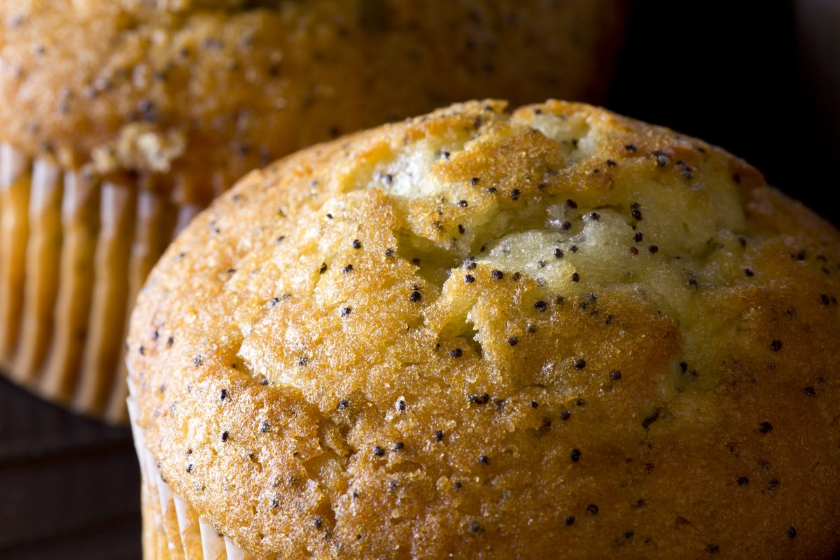 poppyseed muffin