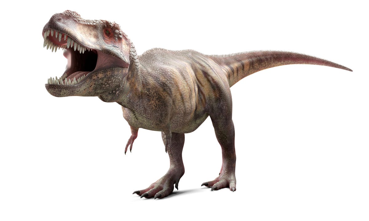 t rex, computer artwork