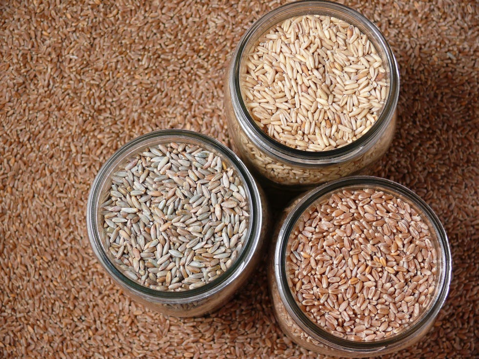 jars of oats, rye, and wheat are presented on a background of grain