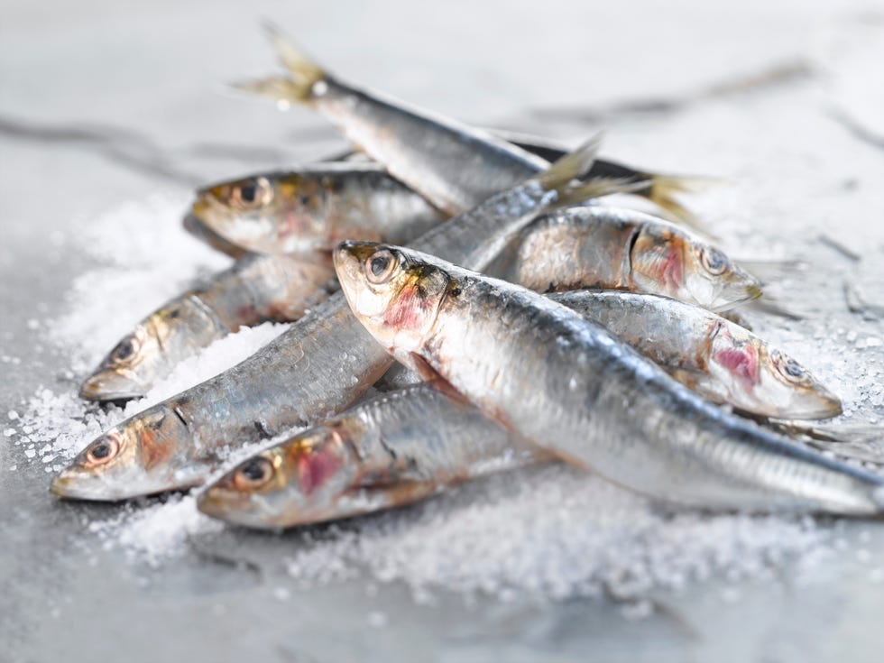 sardinas