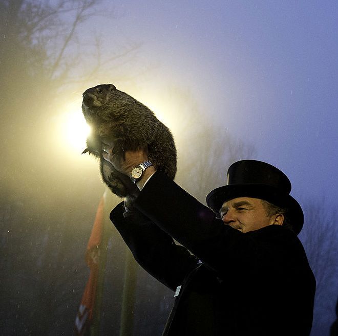 groundhog handler john griffiths holds punxsutawney phil after he saw his shadow