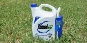 Monsanto Roundup Weedkiller - Roundup Active Ingredient 