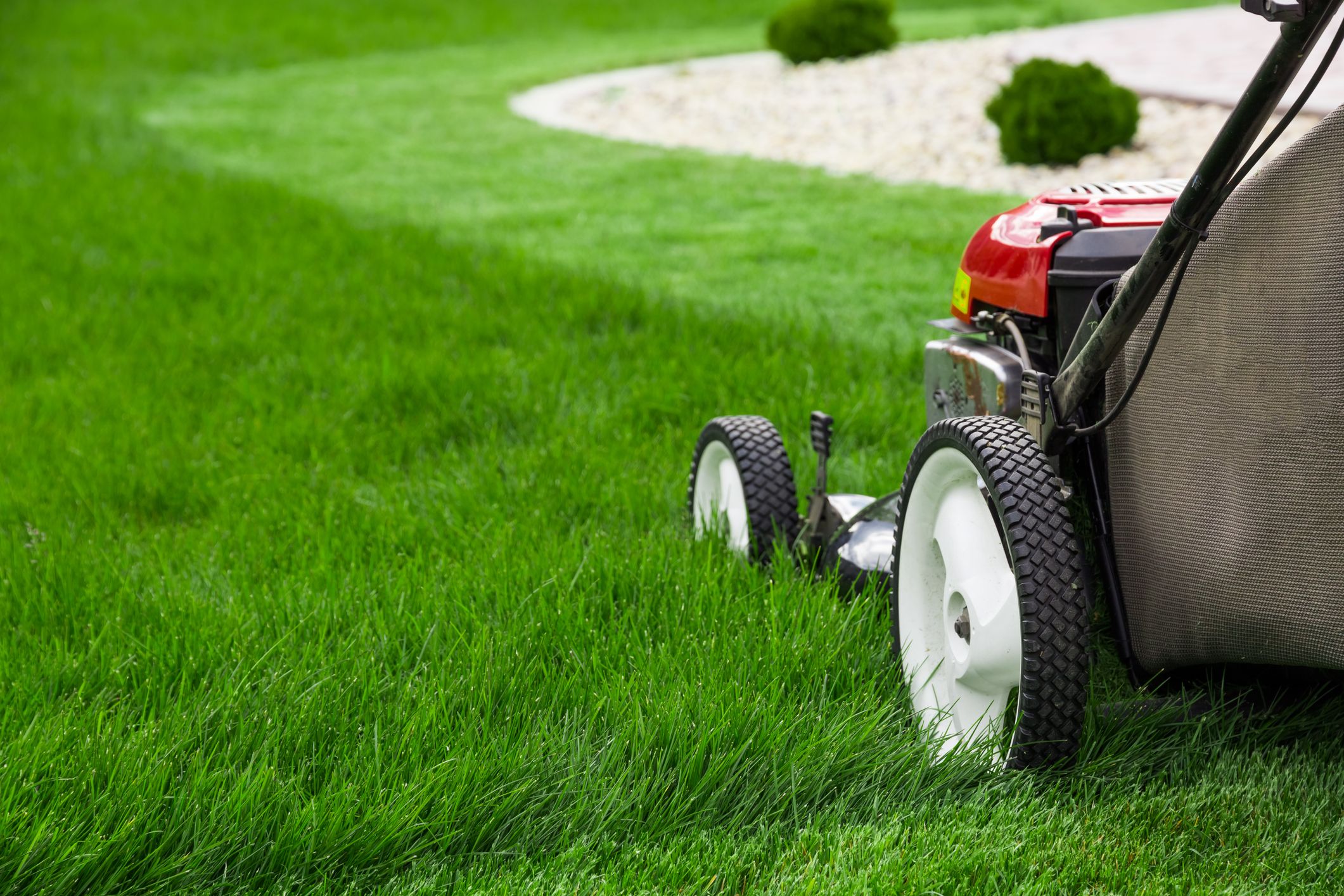 Lawn, Grass, Mower, Lawn mower, Vehicle, Outdoor power equipment, Grassland, Lawn aerator, Grass family, Yard, 