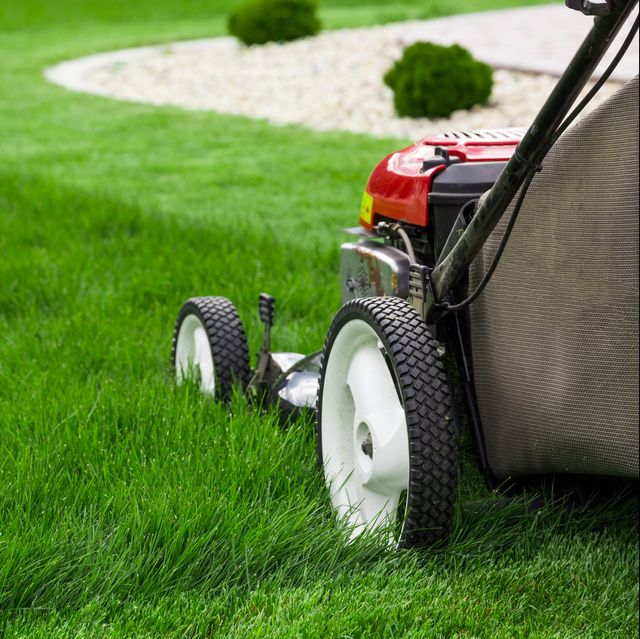 Lawn, Grass, Mower, Lawn mower, Vehicle, Outdoor power equipment, Grassland, Lawn aerator, Grass family, Yard, 