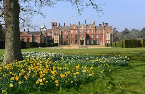 Estate, Spring, Natural landscape, Yellow, Stately home, Château, Grass, Flower, Plant, Mansion, 