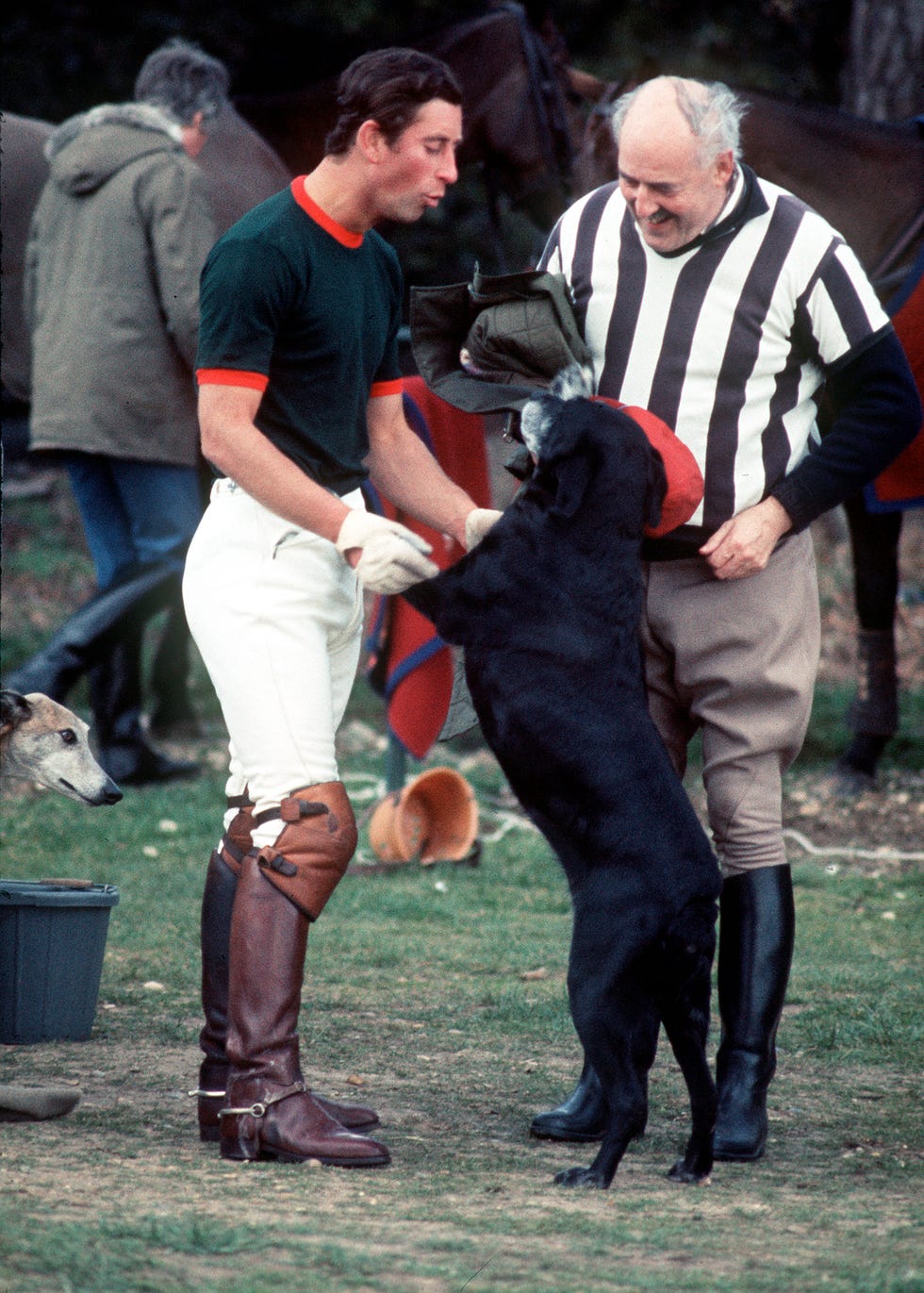 windsor, united kingdom june 01 prince charles, prince of wales plays with a dog during a polo match at the guards polo ground on june 01, 1976 in windsor, england photo by anwar husseingetty images