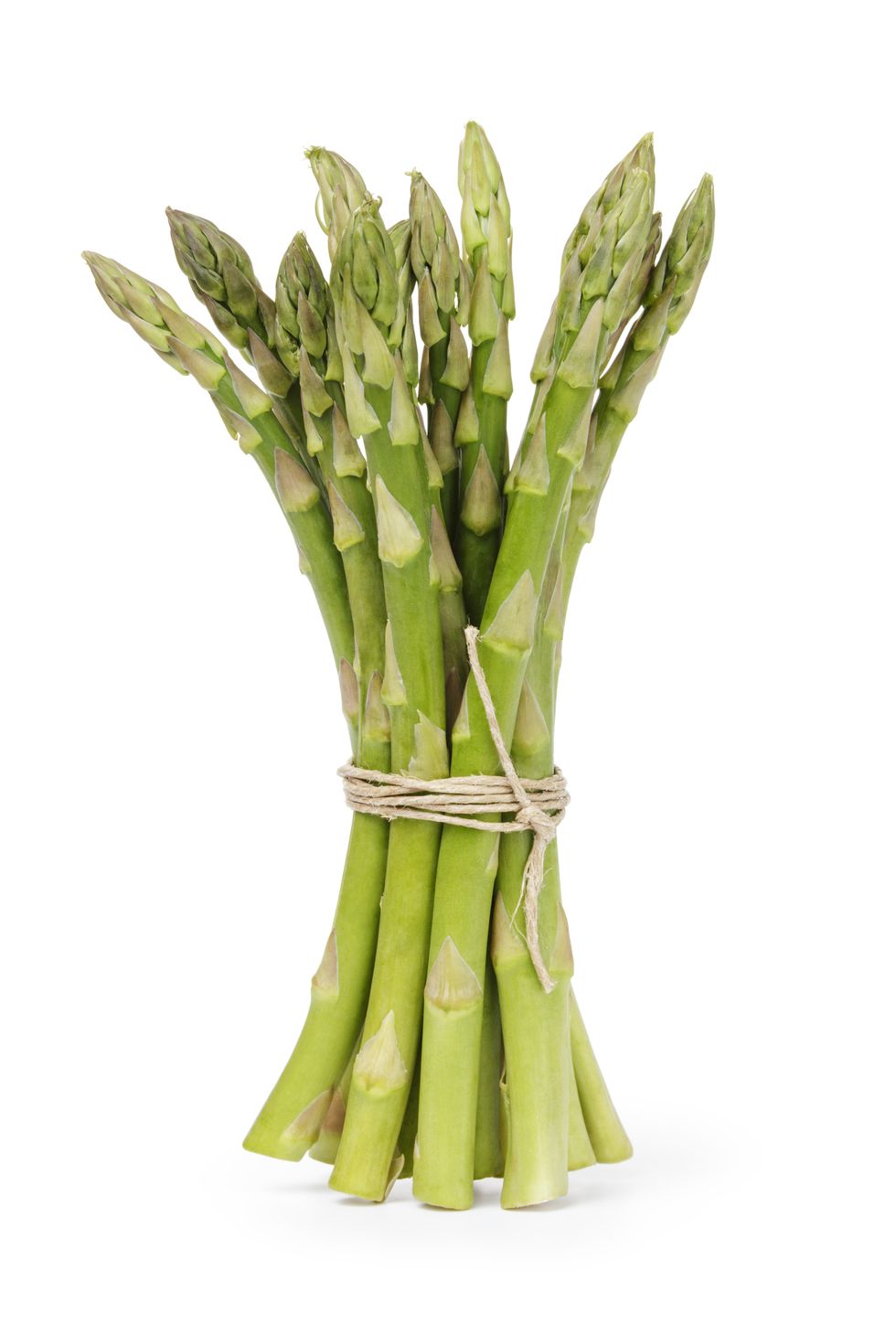 Asparagus, Plant, Flower, Plant stem, Vegetable, Asparagus, Flowering plant, Vegetarian food, Food, 