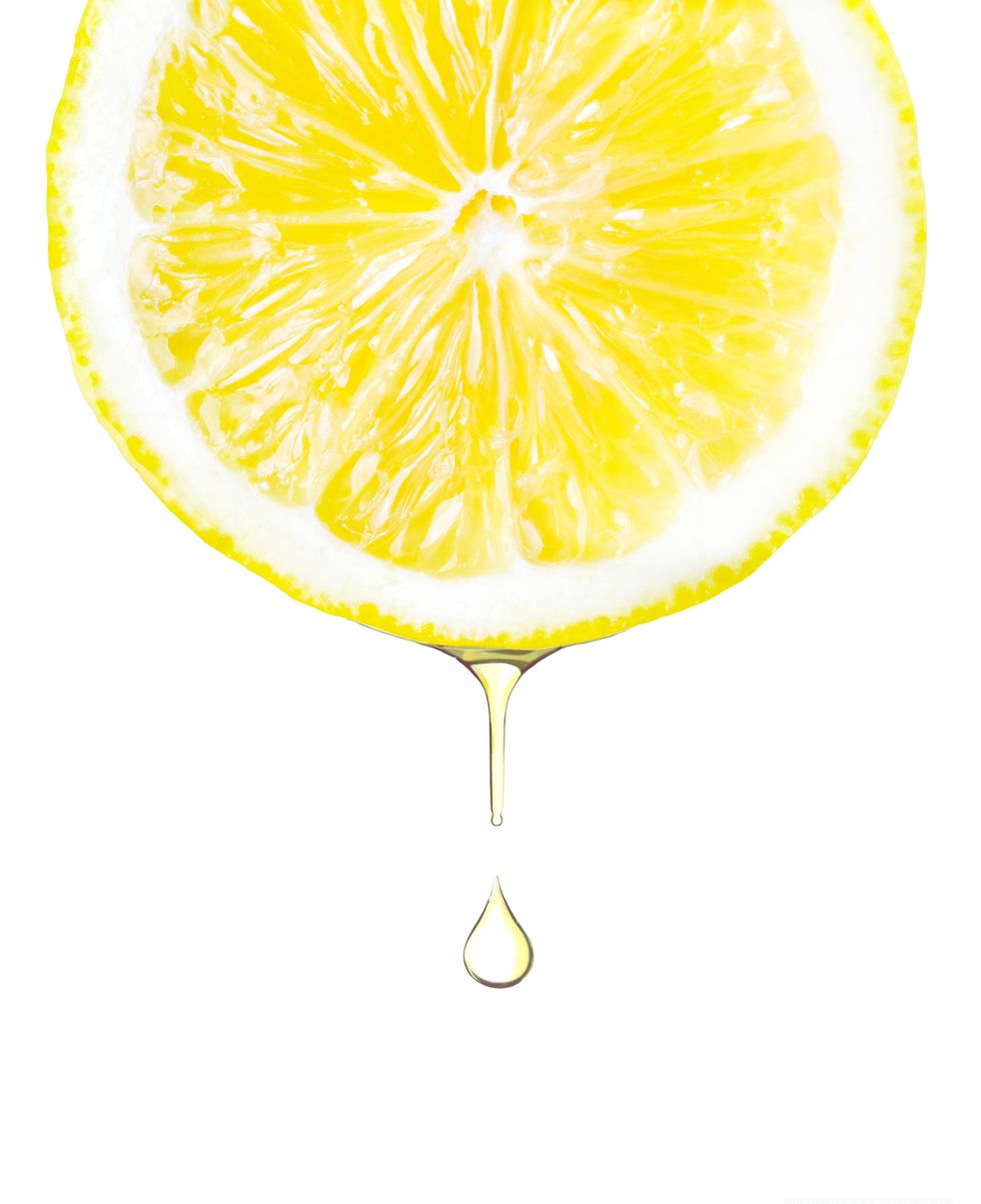 Citrus, Clip art, Plant, Lemon, Fruit, Orange, Grapefruit, Graphics, 
