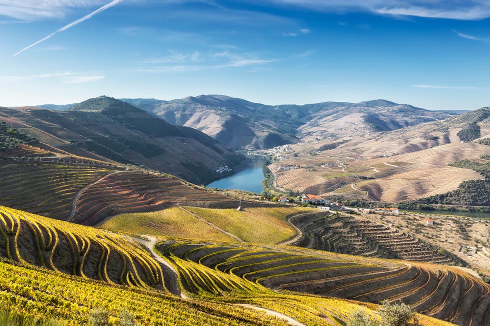 douro valley
