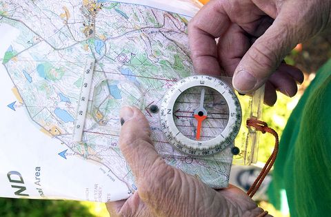 Map, Compass, Hand, World, Illustration, Tree, Finger, Clock, Art, 