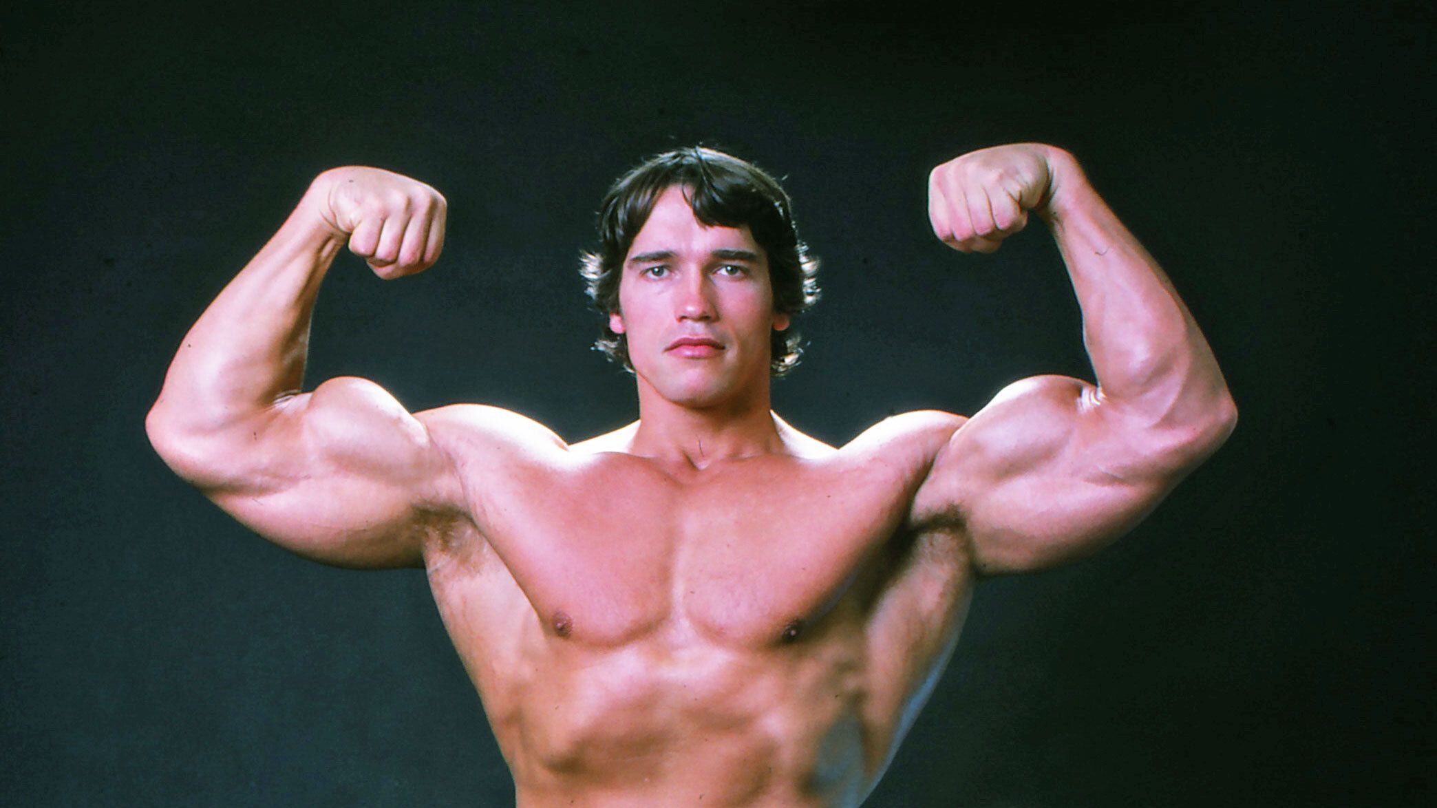 Arnold Schwarzenegger Bodybuilding Poster HD Print Muscle Workout