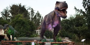 dinosaur model