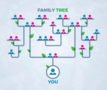 family tree