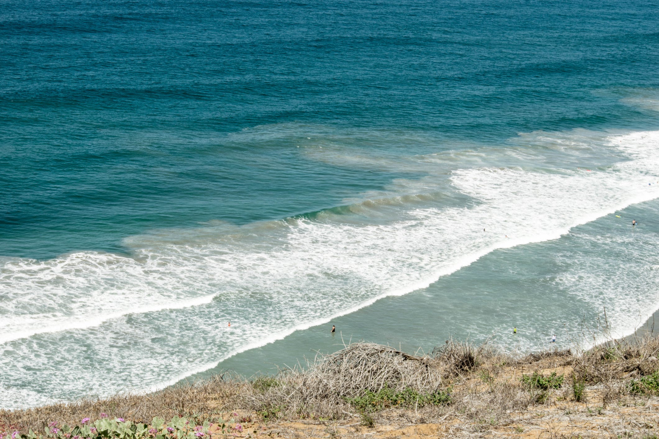riptide ocean 
