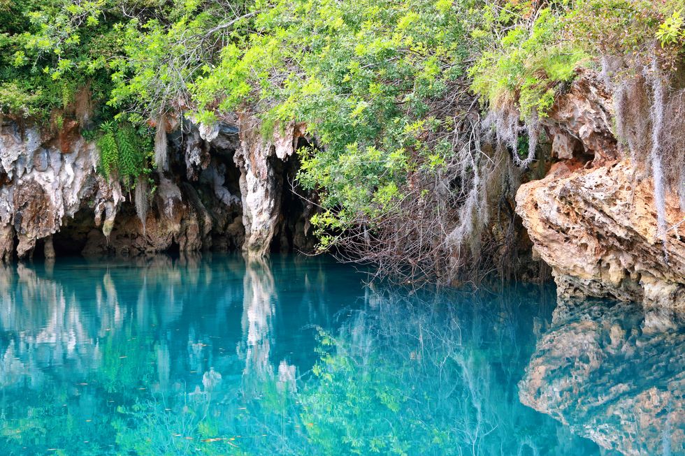 blue lagoon in walshingham nature reserve, aka tom moores jungle, in bermuda