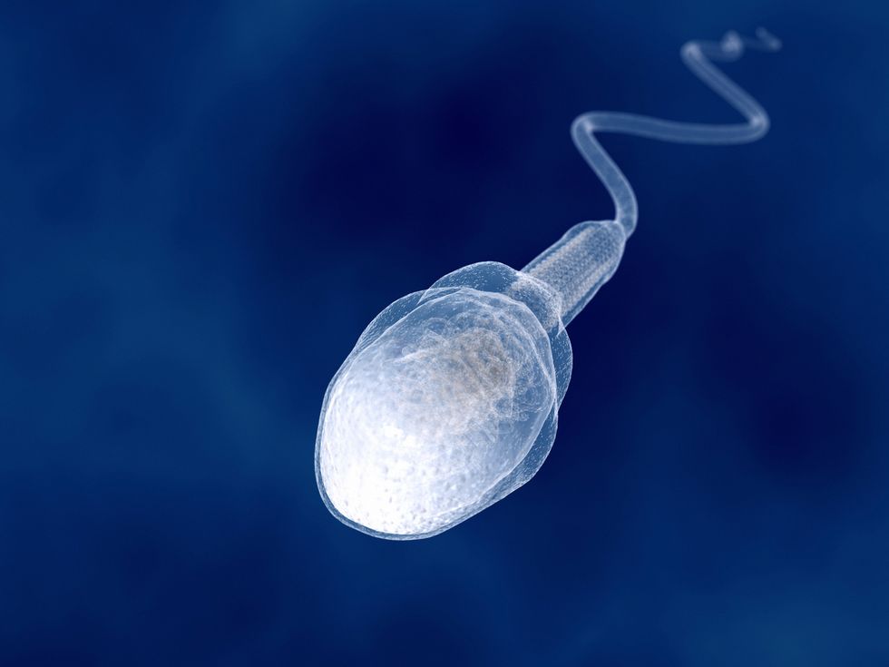 how to make sperm healthier 