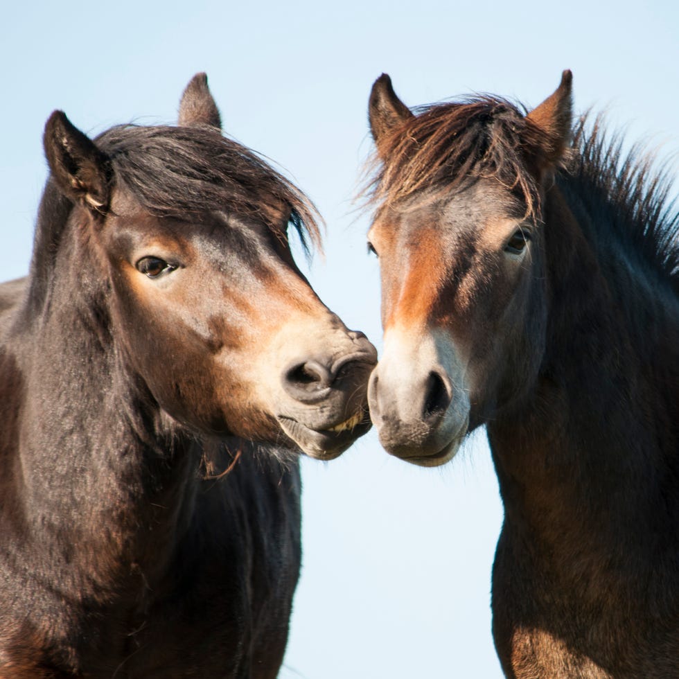 5 reasons why East Lothian is the ultimate romantic destination for couples