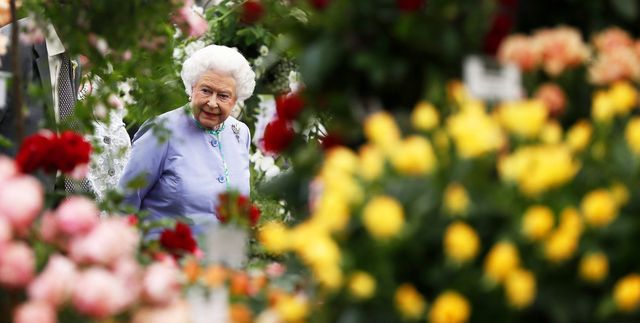 london, united kingdom   may 19 queen elizabeth ii looks at a dispaly during a visit to the chelsea flower show on press day on may 19, 2014 in london, england photo by stefan wermuth   wpa pool getty images