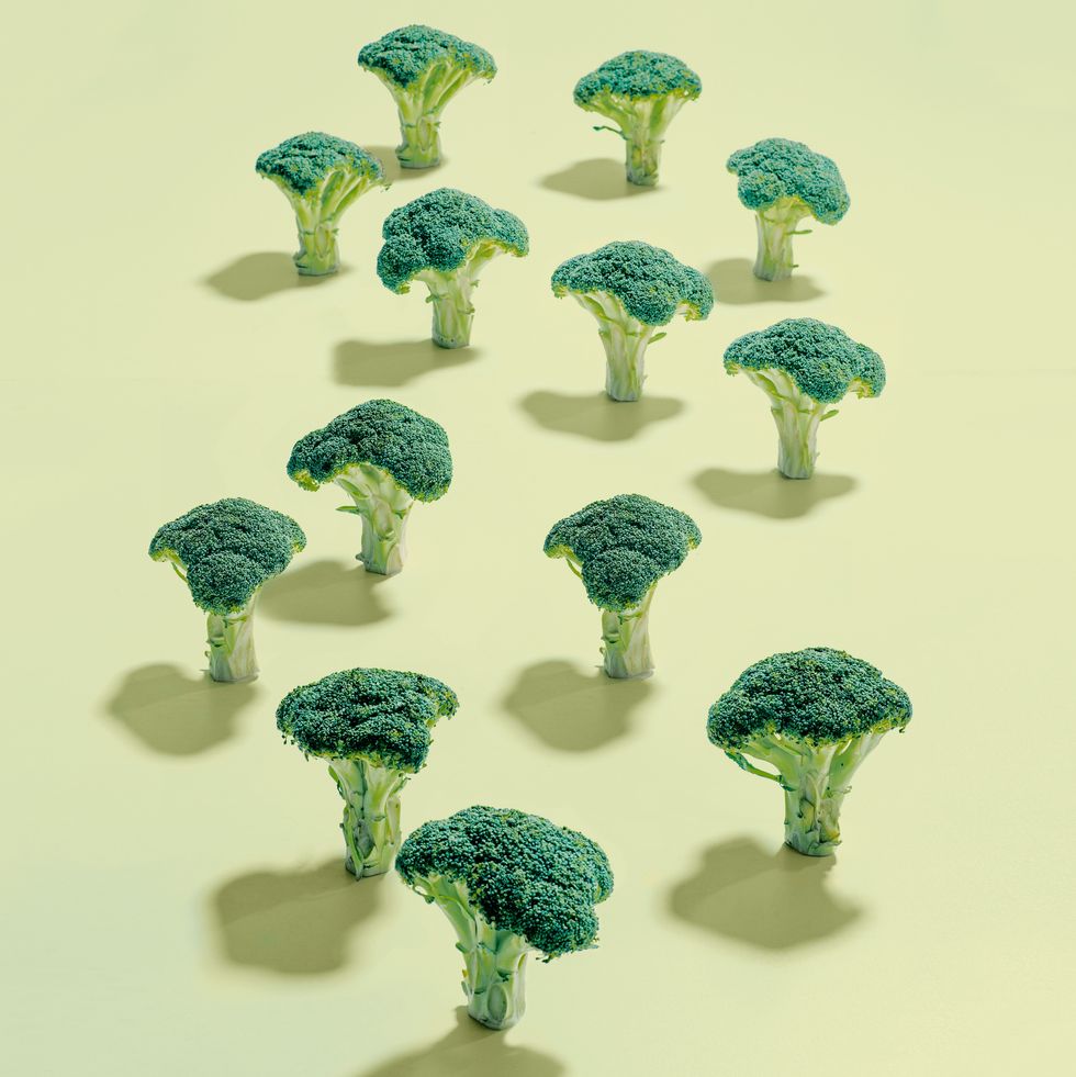 Broccoli, Green, Botany, Cruciferous vegetables, Tree, Plant, Organism, Leaf vegetable, Plant stem, Illustration, 