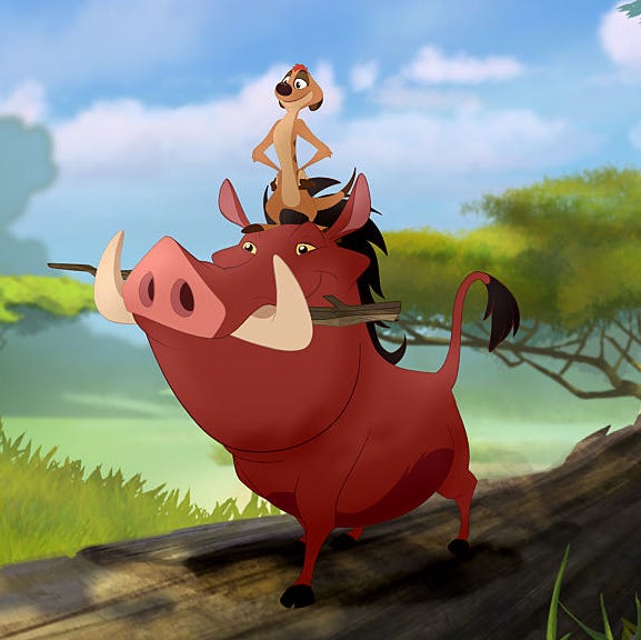 timon and pumba in the lion guard return of the roar