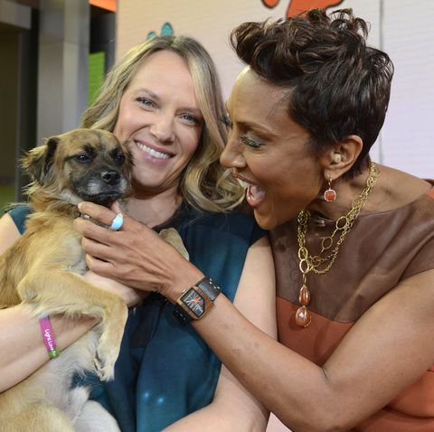 good morning america   puppy love the north shore animal league brought puppies who are up for adoption, to good morning america, 11315, airing on the walt disney television via getty images television network   photo by ida mae astutewalt disney television via getty images