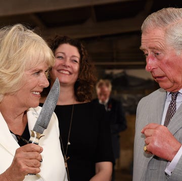 The Prince Of Wales & Duchess Of Cornwall prince charles, prince of wales and camilla, duchess of cornwall