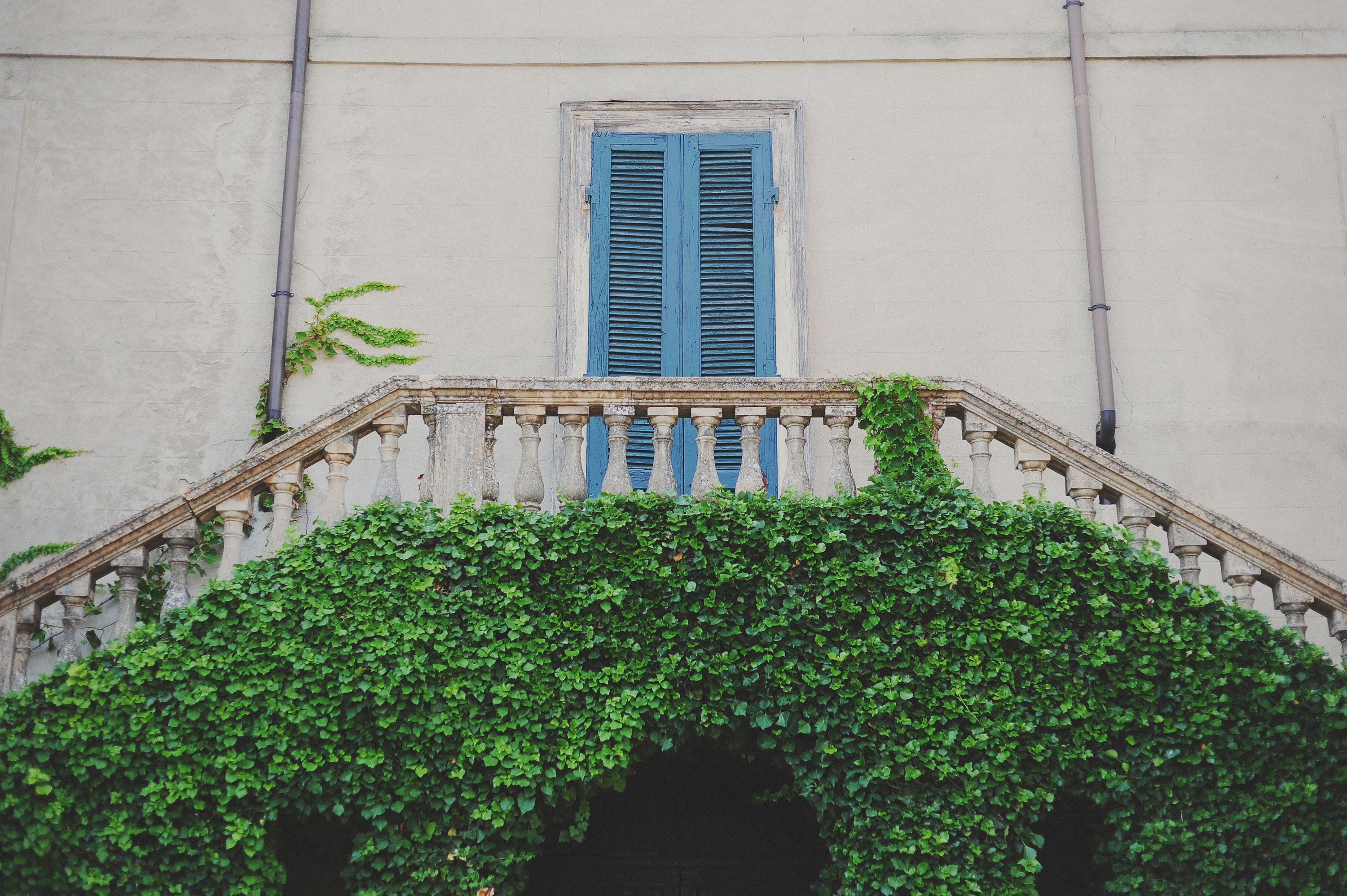 Arco per rose e piante rampicanti da giardino NUOVO 15 - Annunci