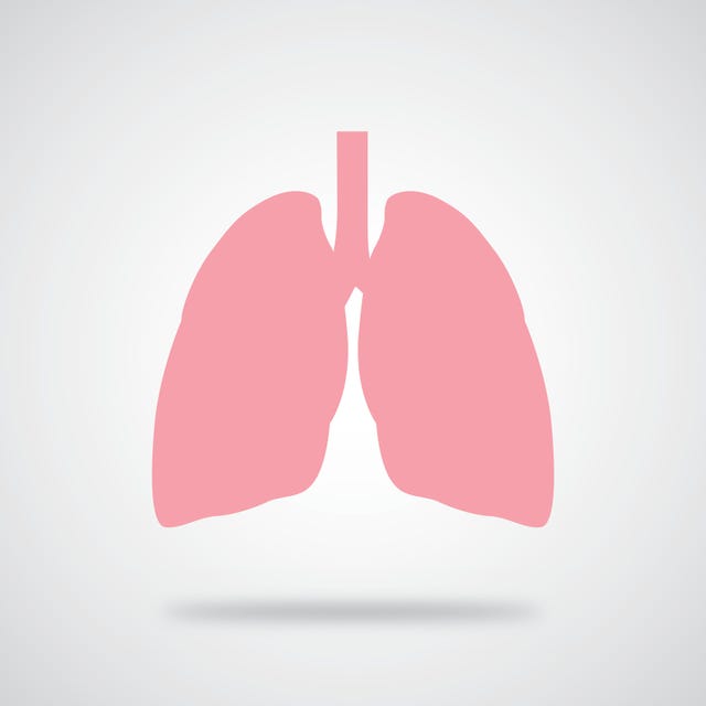 vector illustration of pink lungs with shadow on a gray gradient background