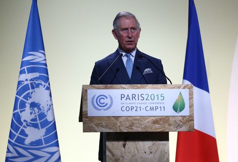 Prince Charles at the UN Climate Summit in 2015.