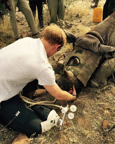 Prince Harry Visits Africa - Day 5