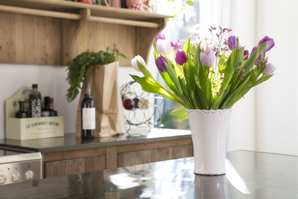 Flowerpot, Flower, Vase, Plant, Room, Houseplant, Interior design, Shelf, Wall, Cut flowers, 