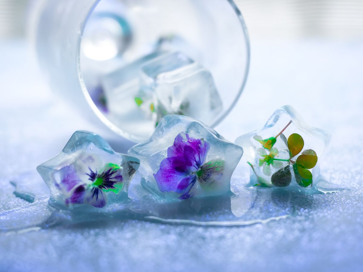 Put Edible Flowers in Ice Cubes for Perfectly Insta-Worthy Drinks