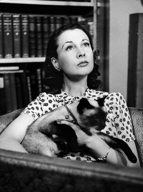 london, united kingdom   circa 1950 the english actress vivien leigh posing in her home at chelsea with her cat around, 1948 1955 in london, united kingdomphoto by keystone francegamma rapho via getty images