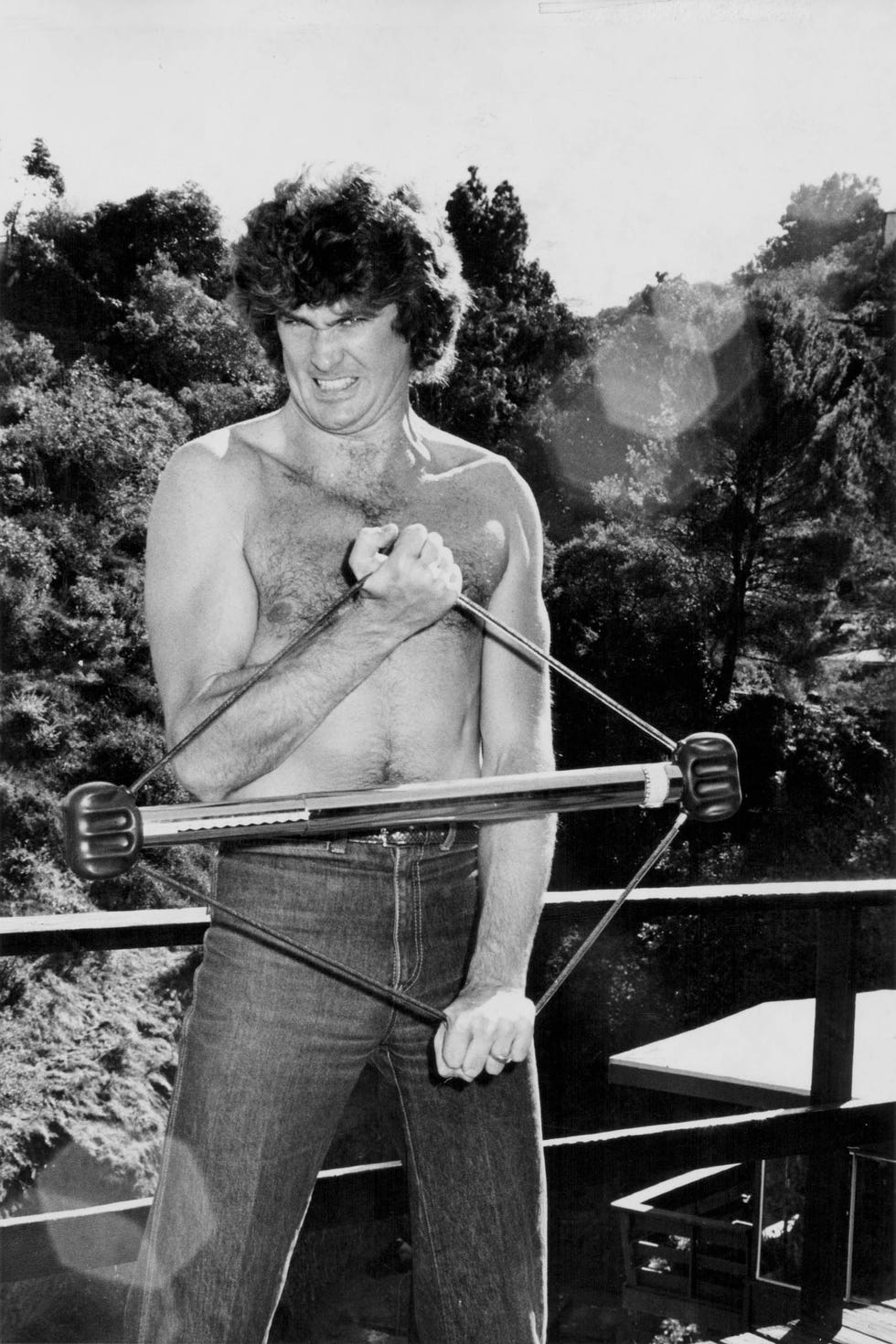 david hasselhoff en su casa de hollywood hills