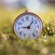 Clock in grass