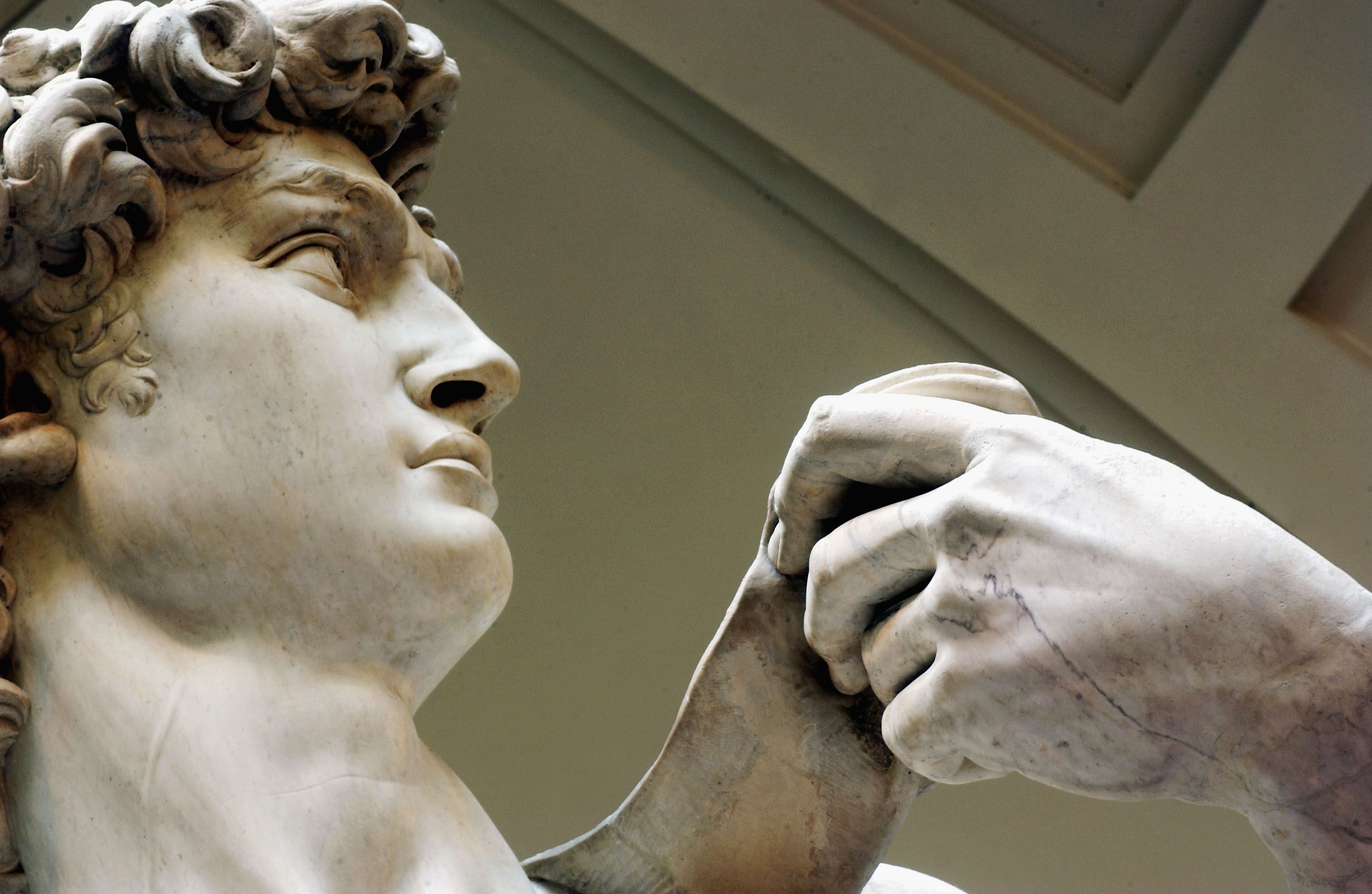 David di Michelangelo, storia e analisi