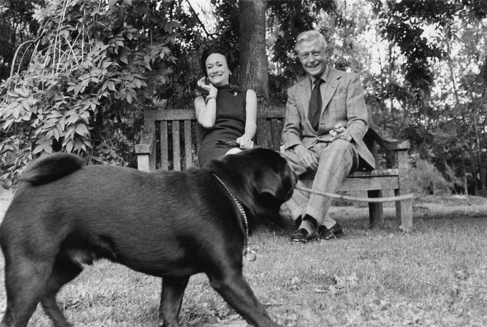 the duke aka king edward viii and duchess aka wallis simpson of windsor sitting on a bench under a tree, watching one of their pet pug dogs carry a stick at moulin de la tuilerie, their home outside paris photo by patrick lichfieldcondé nast via getty images