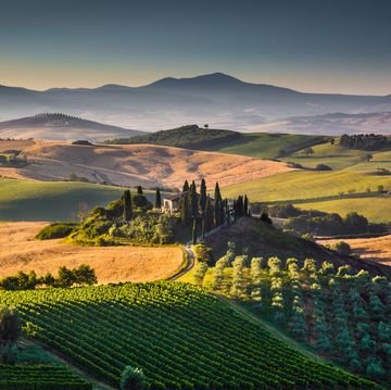 scenic tuscany landscape with rolling hills and valleys in golden morning light, val d'orcia, italy