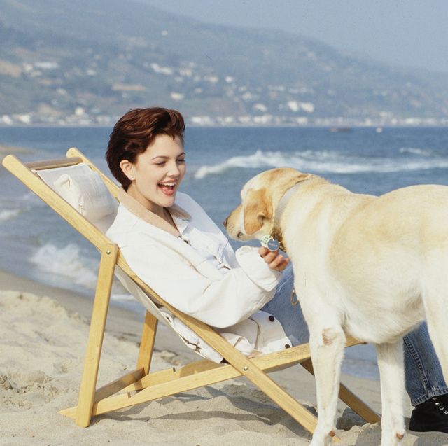 foto promocional de 2000 malibu road drew barrymore sentada en una tumbona en el mar acariciando un perro