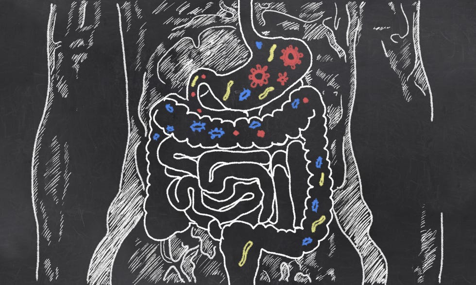 gut probiotics