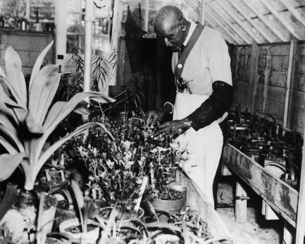 George Washington Carver