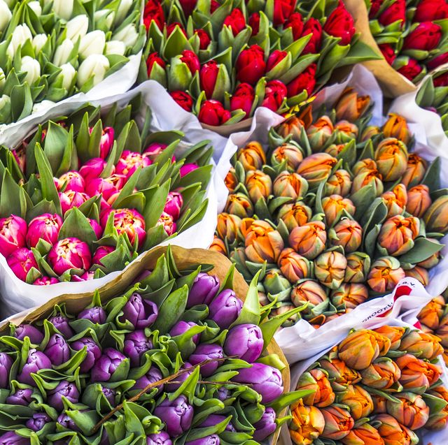 Natural foods, Flower, Plant, Local food, Flowering plant, Tulip, Spring, Fruit, Groundcover, Market, 