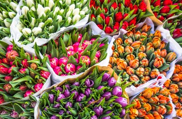 Natural foods, Flower, Plant, Local food, Flowering plant, Tulip, Spring, Fruit, Groundcover, Market, 