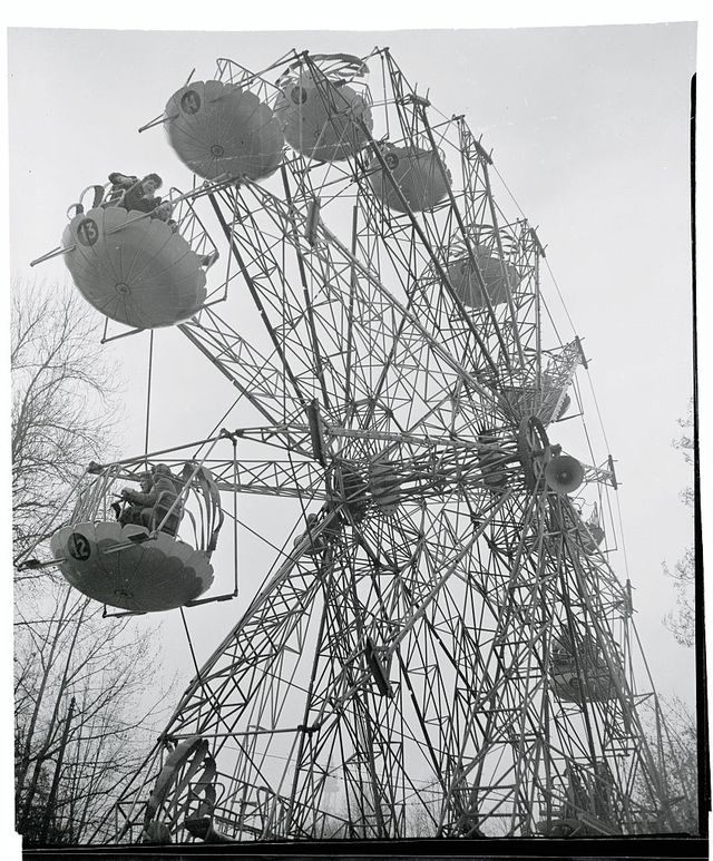 Ferris wheel, Black-and-white, Monochrome photography, Tourist attraction, Stock photography, Photography, Recreation, Plant, Monochrome, Style, 